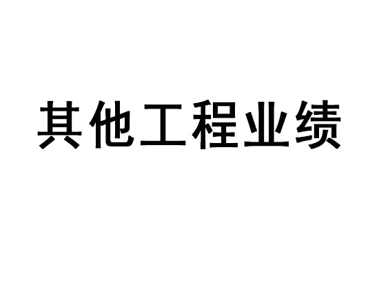 其他工程業(yè)績(jī)